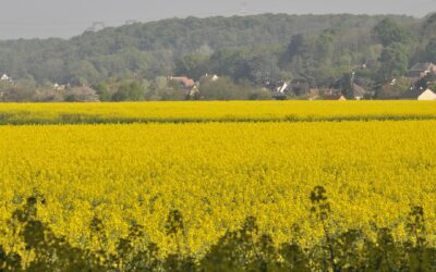 La vie agricole à Marcoussis