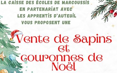 Vente de sapins