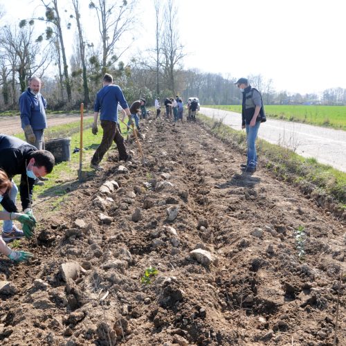 agriculture triangle vert
